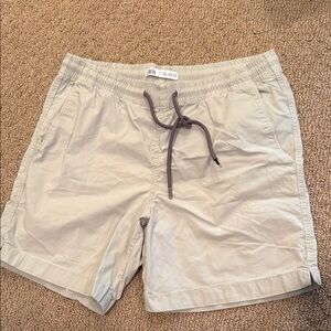 Zara Light Gray Casual Shorts